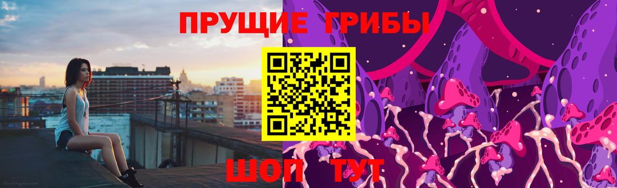 Ирбит  Псилоцибиновые грибы MAGIC MUSHROOMS  Галлюциногенные грибы Psilocybe  Вход с VPN 